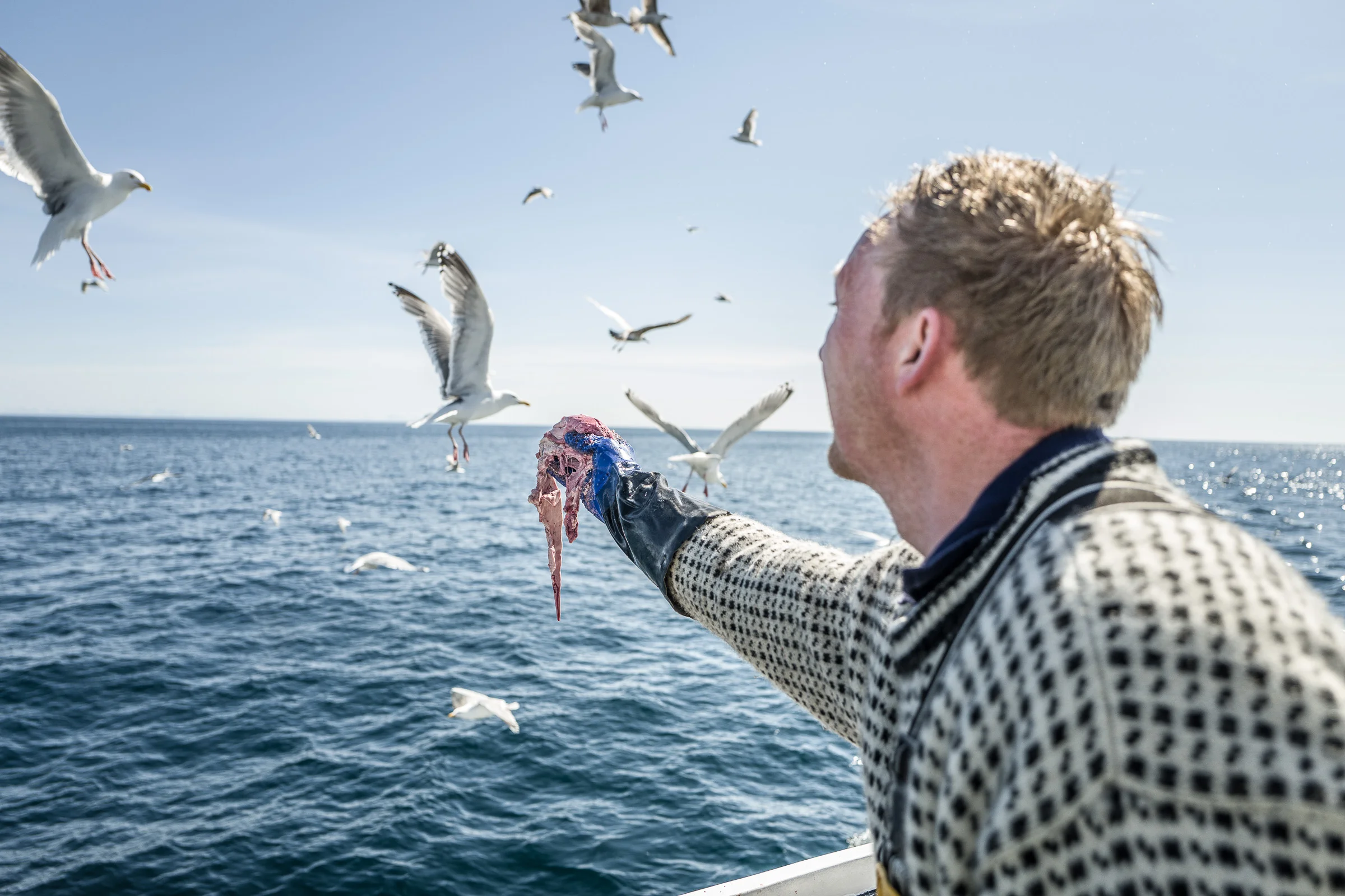 best-of-lofoten_small-145.jpg