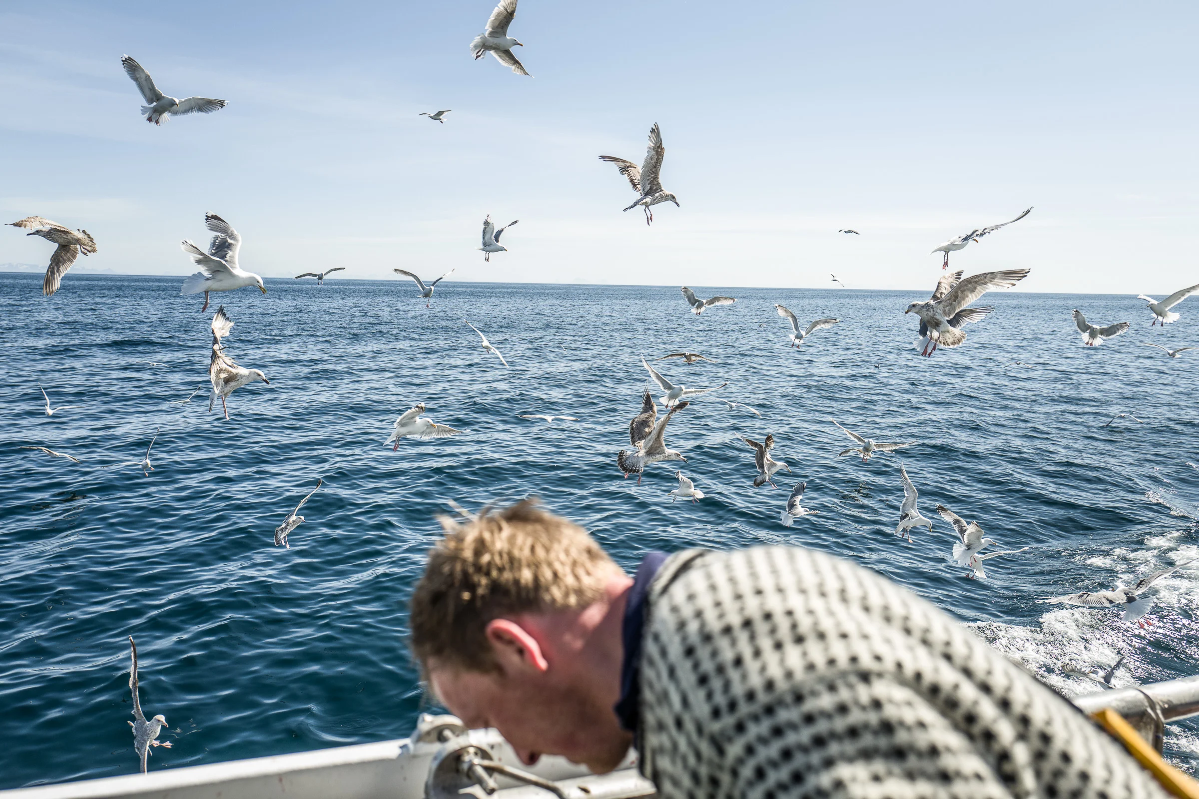 best-of-lofoten_small-146.jpg