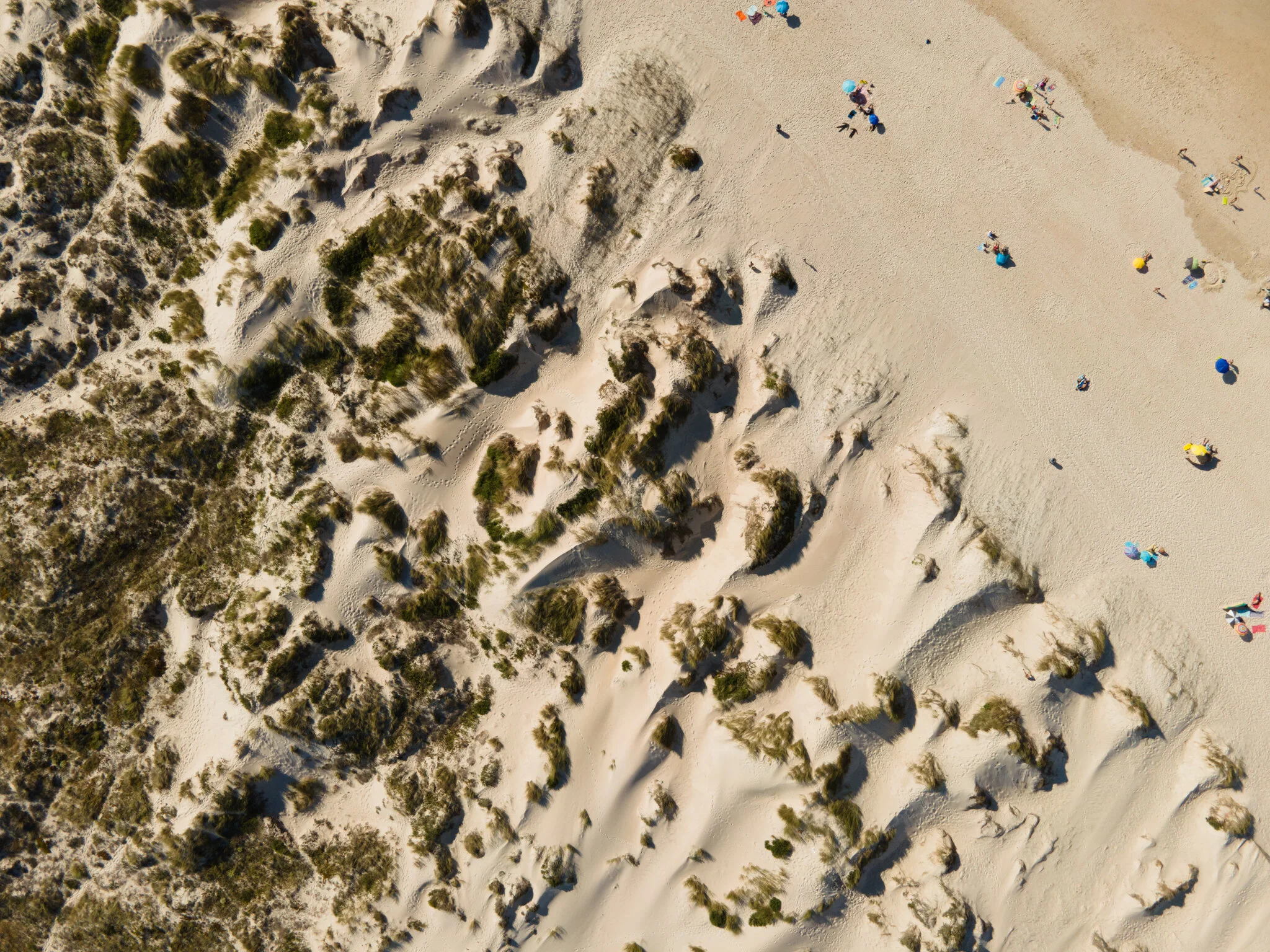 DJI_0262.jpg