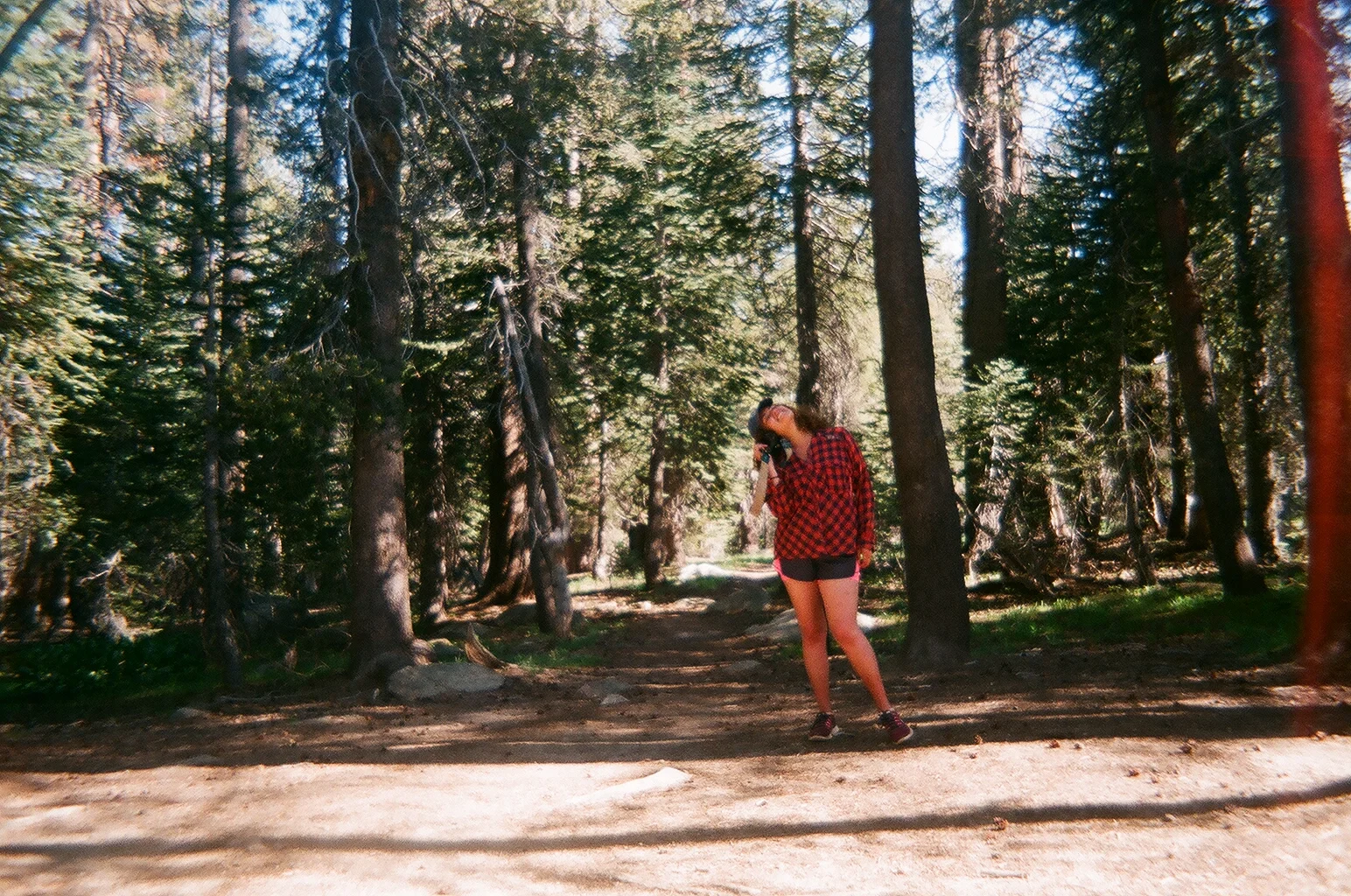10110035.JPG