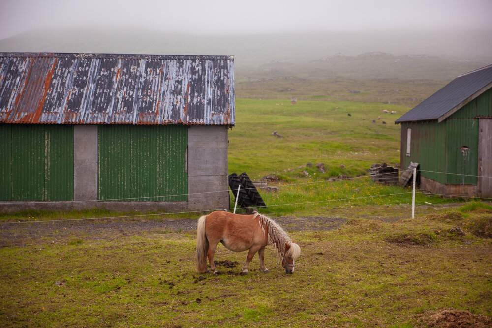 Faroe Islands_57.jpg