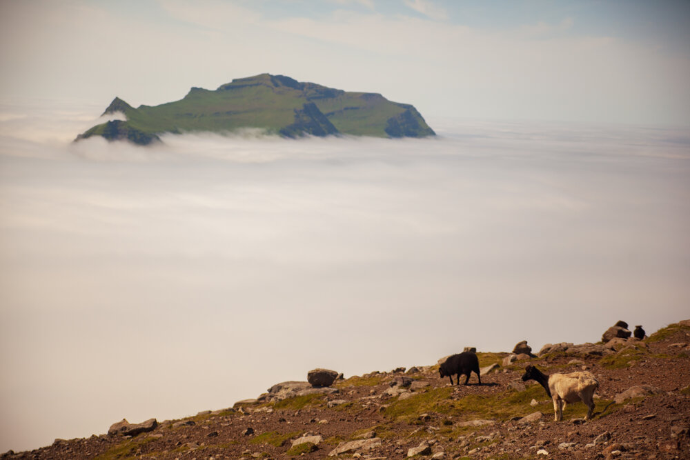 Faroe Islands_48.jpg