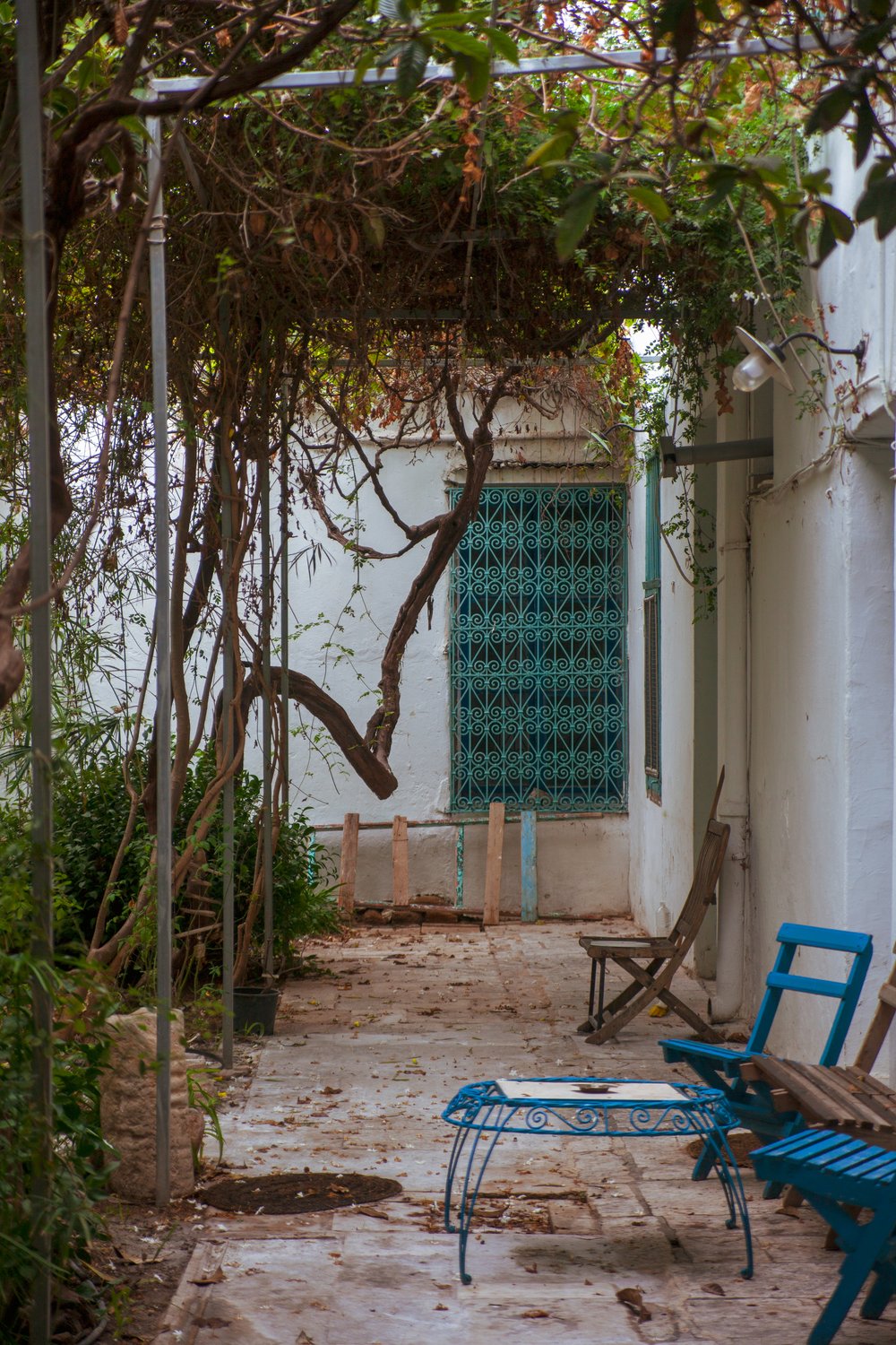 Tunisia_55.jpg