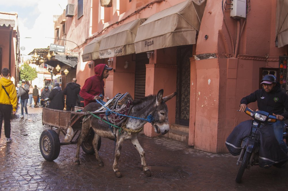 Marrakech + Rabat_2.jpg