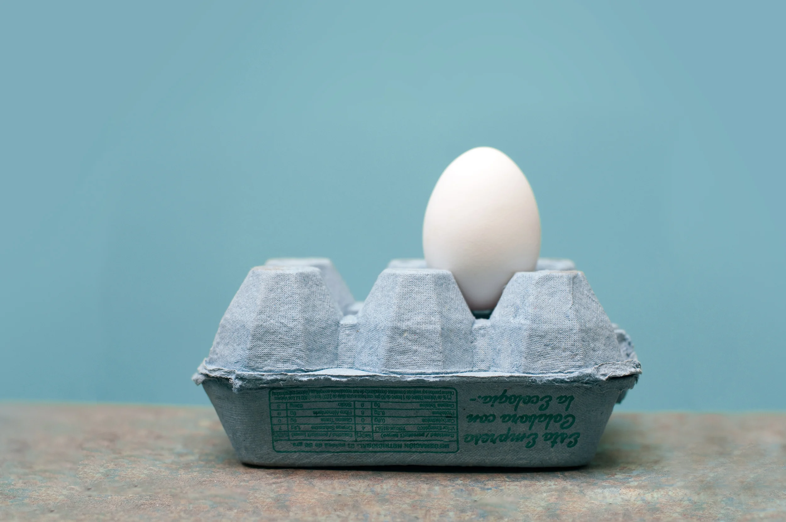 egg