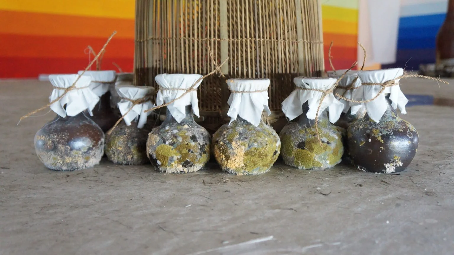 Vases-with-mold-in-the-work-Between-a-Bless-and-a-Curse-Yogyakarta-Biennale-Yogyakarta_Indonesia-2017-1536x863.jpg
