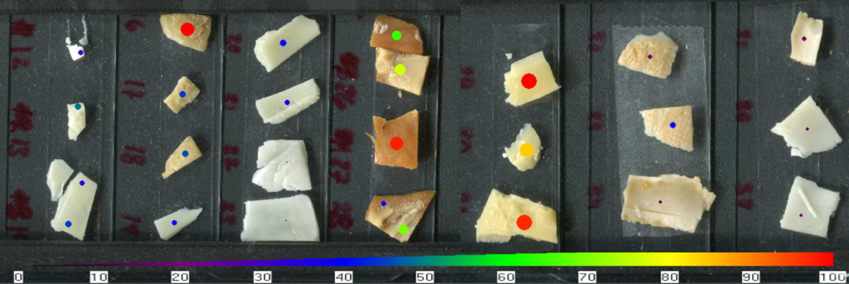 Figure 7. The heatmap depiction of relative aspartic acid levels in different cheese samples. Aspartic acid has previously been indicated to be one of the amino acids that primarily composes casein proteins (1).