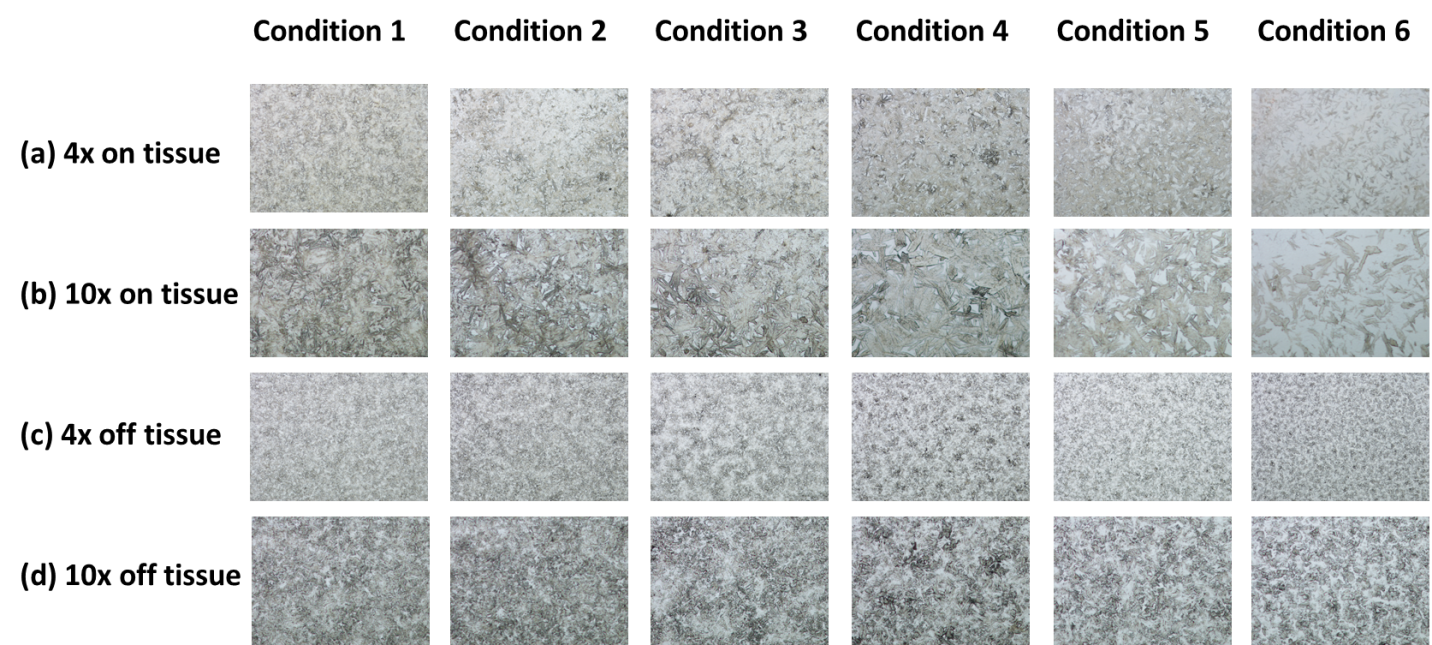 Figure 1. Microscopic pictures of matrix coated slides. (a) 4x magnified on-tissue images; (b) 10x magnified on-tissue images; (c) 4x magnified off-tissue images; (d) 10x magnified off-tissue images.