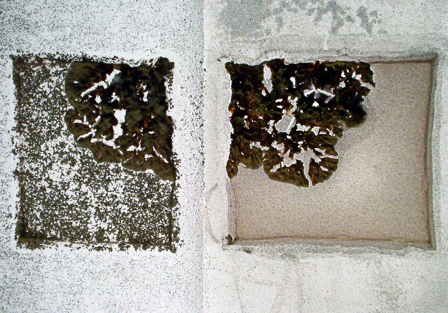 Figure 5. A bacterial colony on agar on a glass slide with matrix applied via dry sieve (left) and the HTX TM-Sprayer (right).
