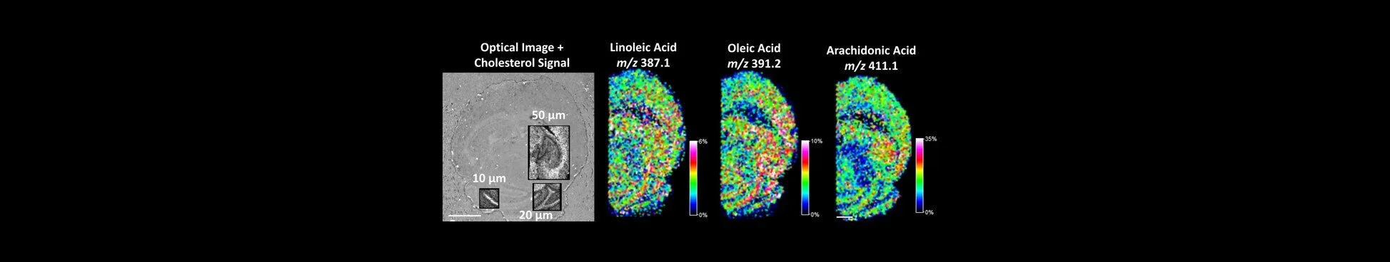 AppNote Website Header.jpg