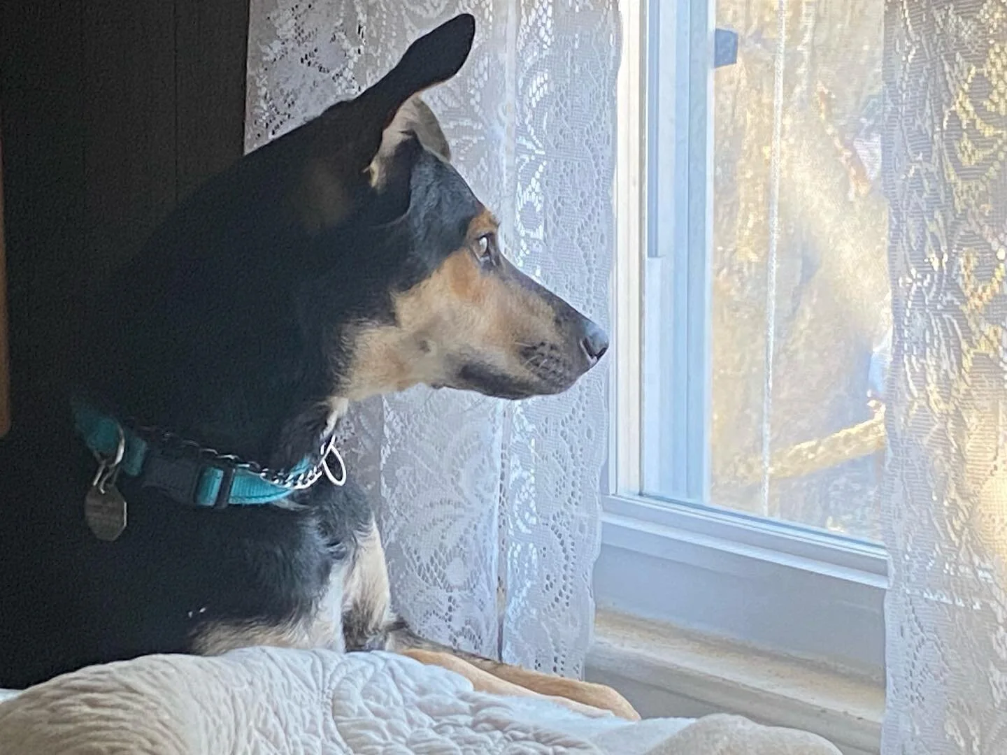 Sasha enjoying the view in RI