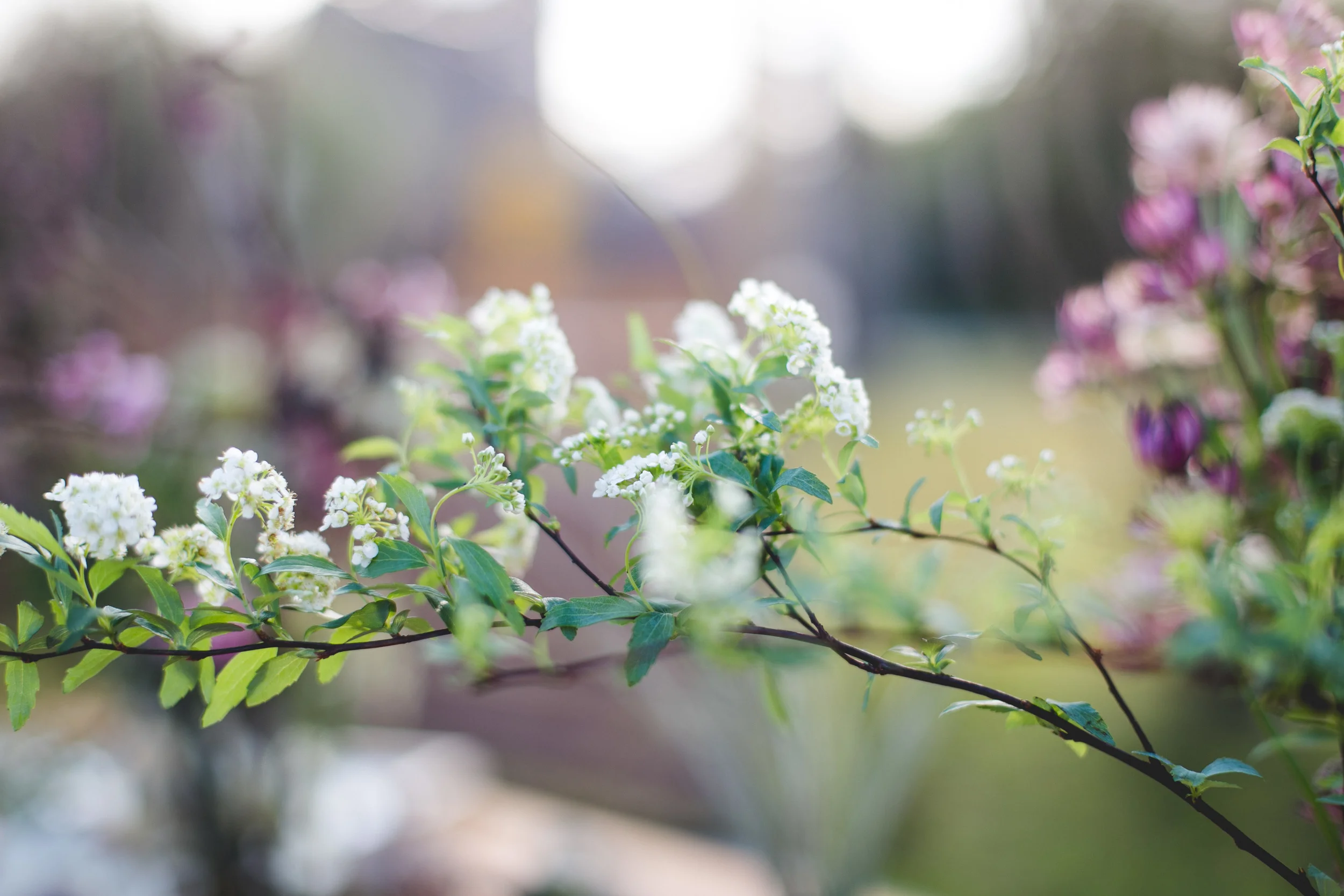 flowersonflowers-51.jpg