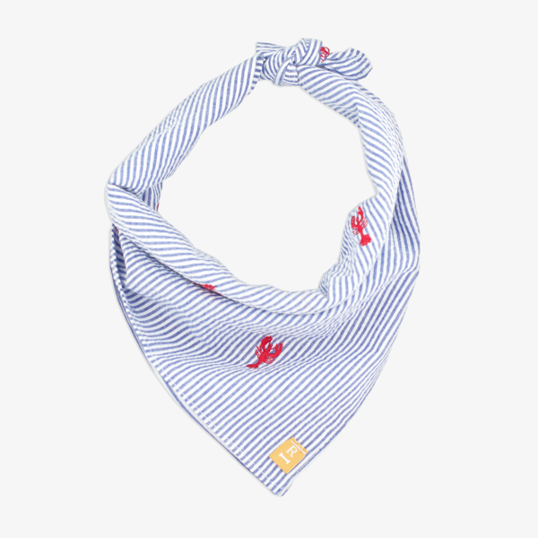 dog-bandana-lobster_grande.png