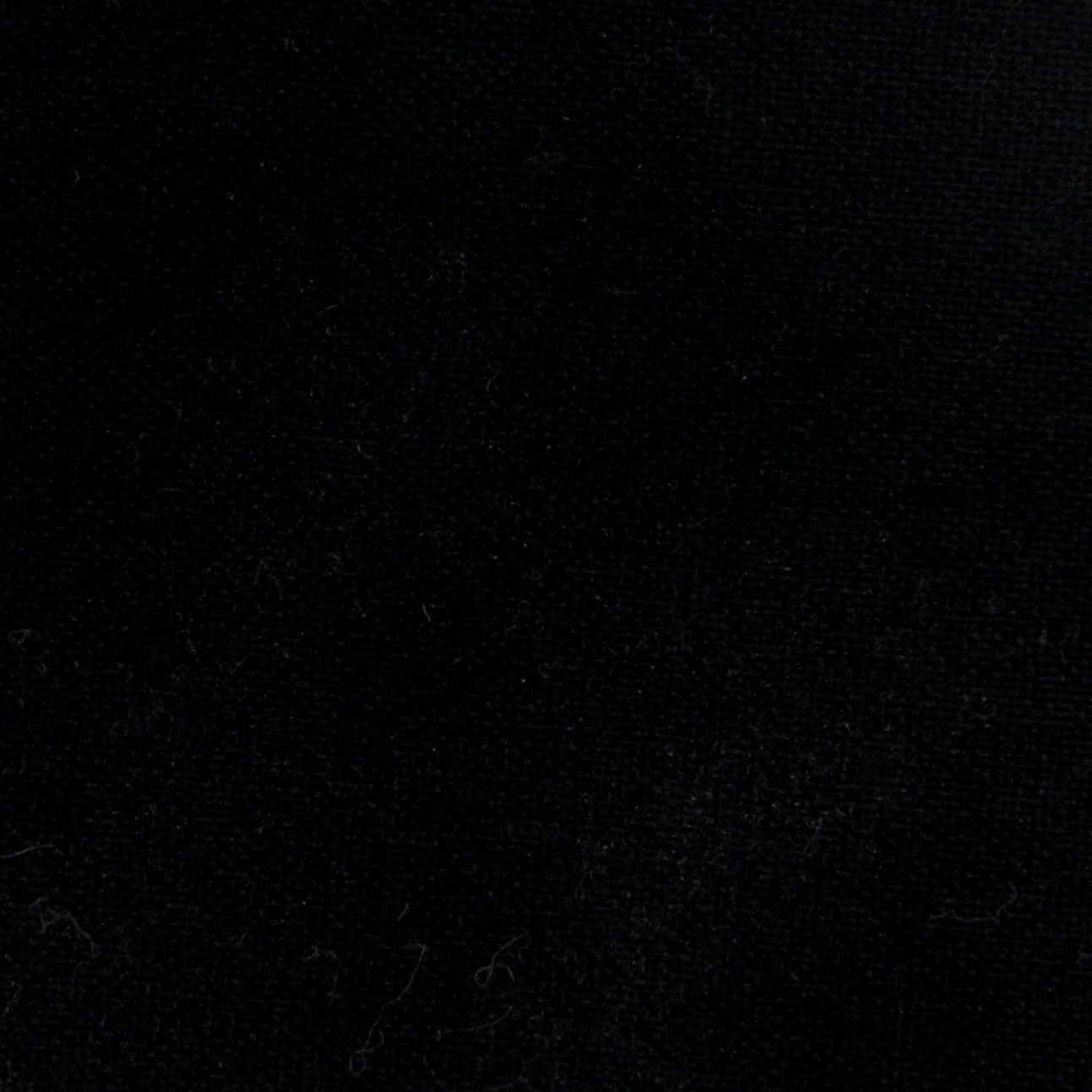 DSC_0004.jpg