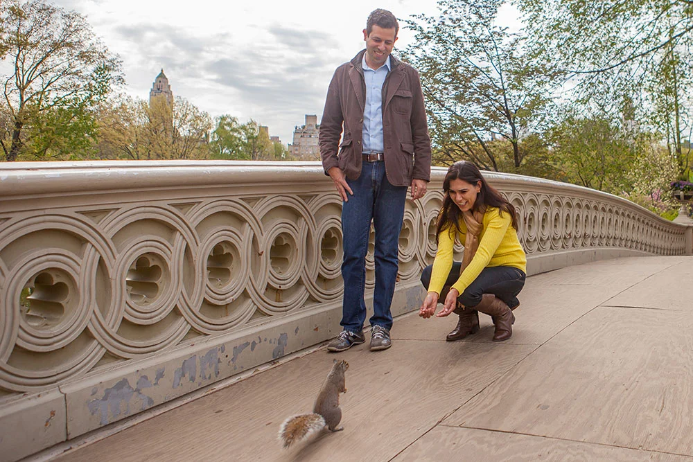 Meeting a squirrel on the Bow Bridge!