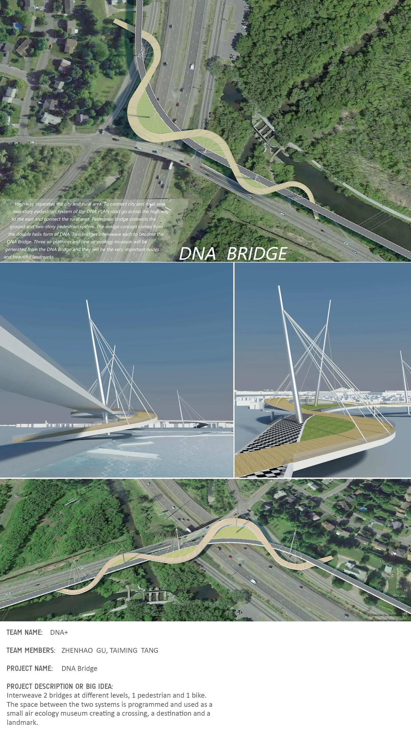 website_Bridge6.jpg