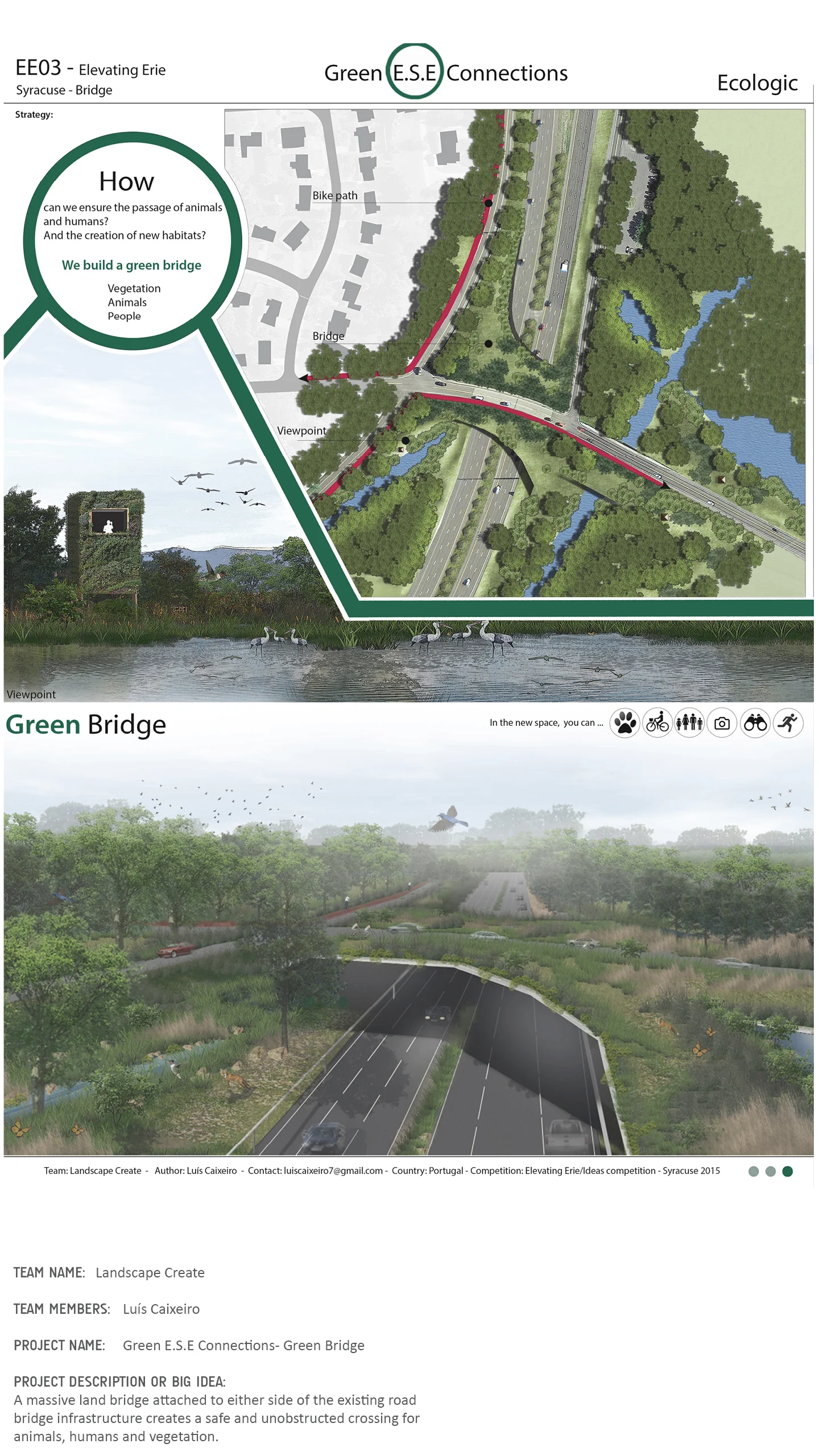 website_Bridge10.jpg