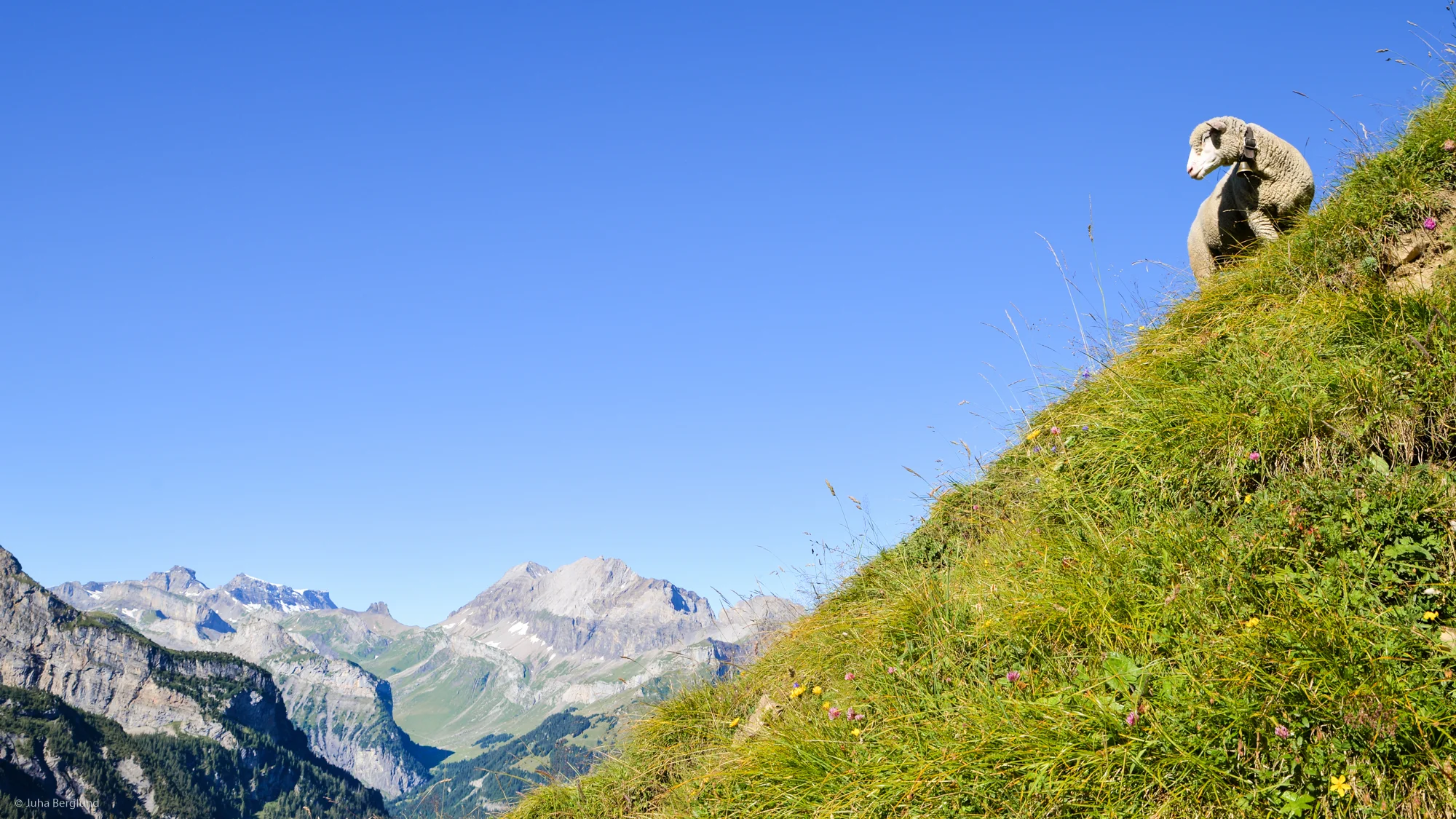 Kandersteg 713-2.JPG