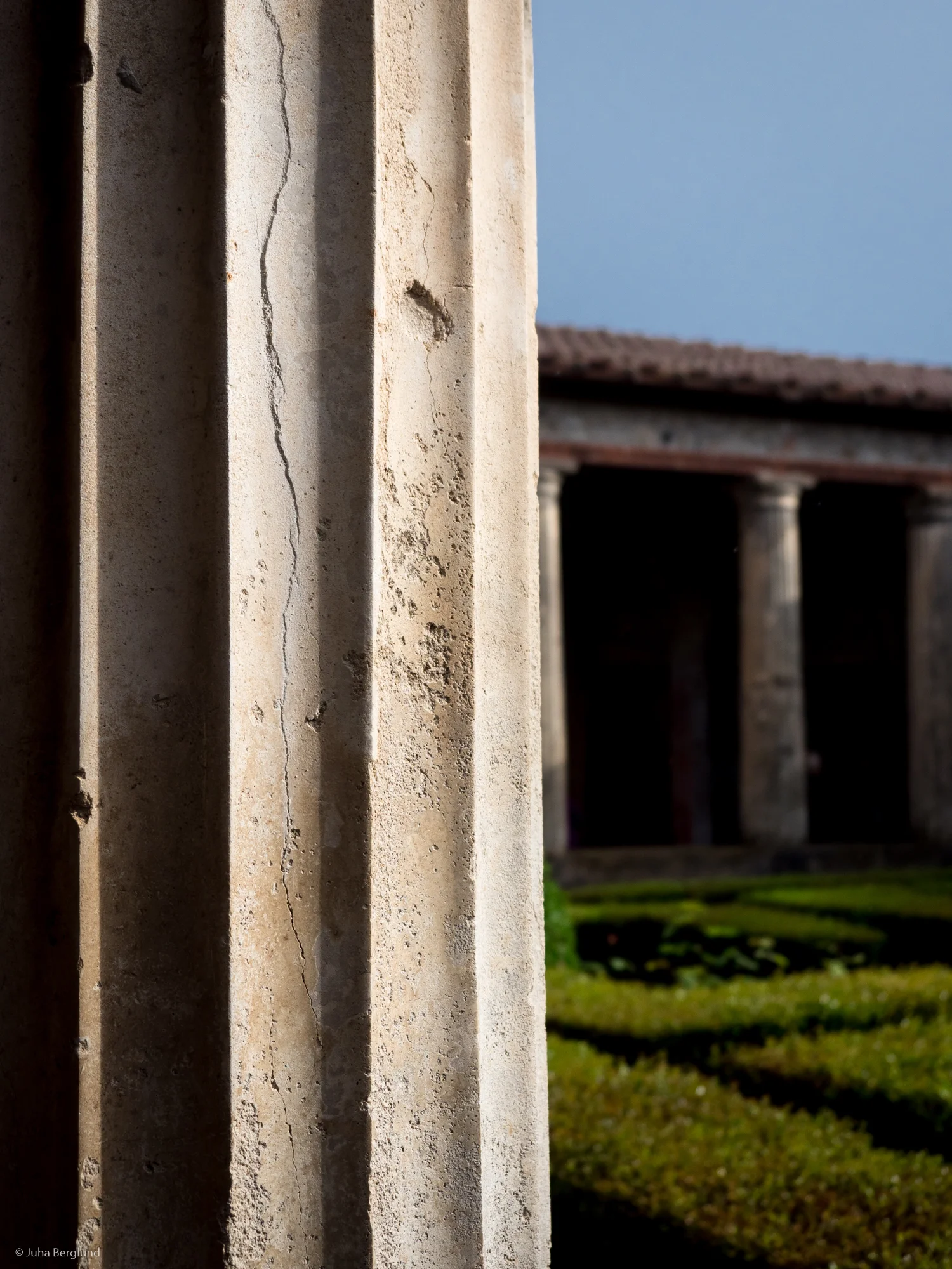 House of Casca Longus