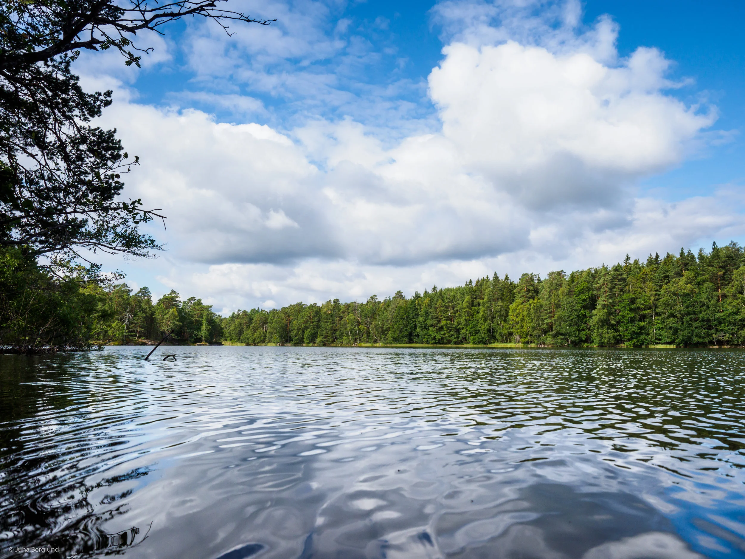 What doesn’t Kill You…