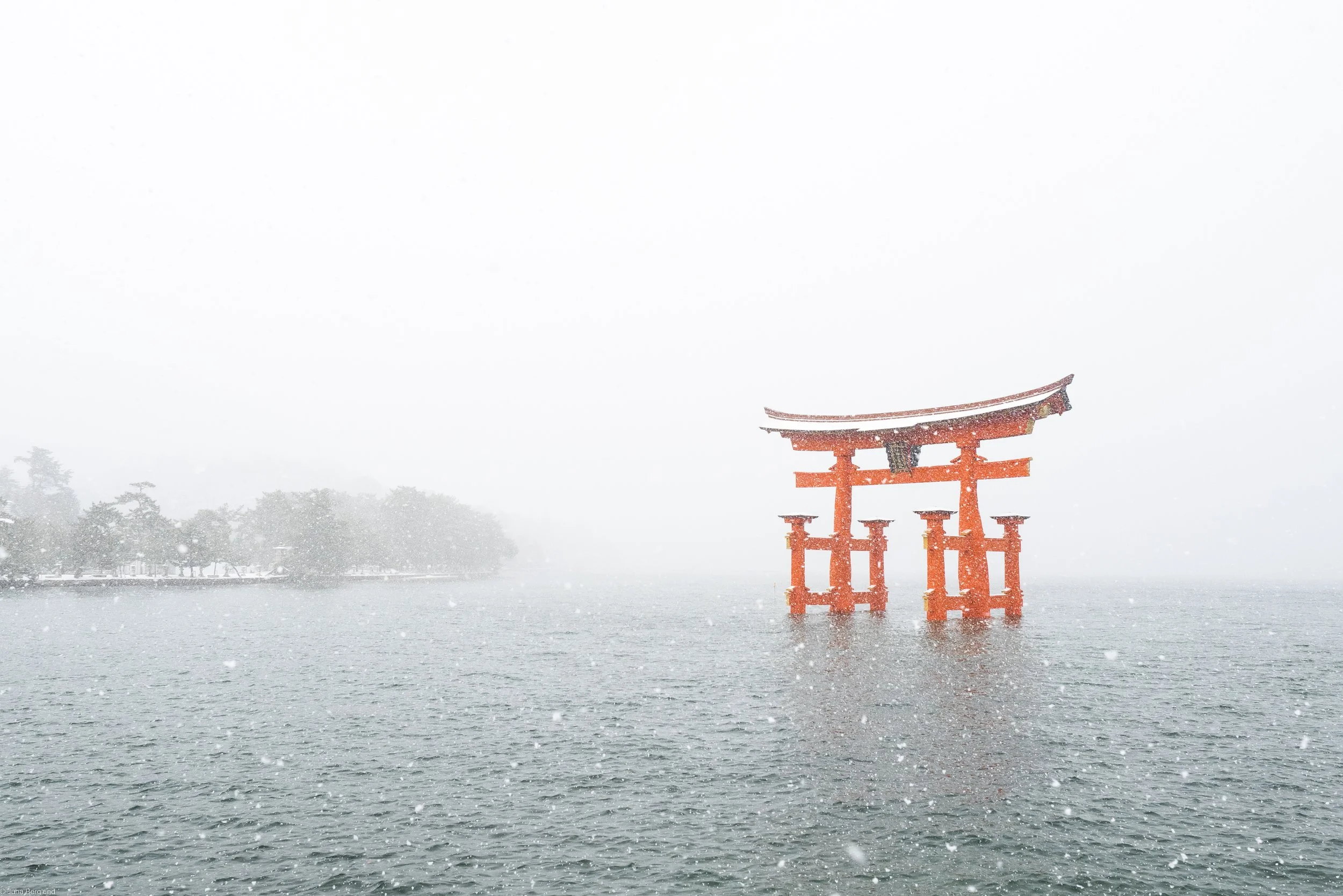 ただいま