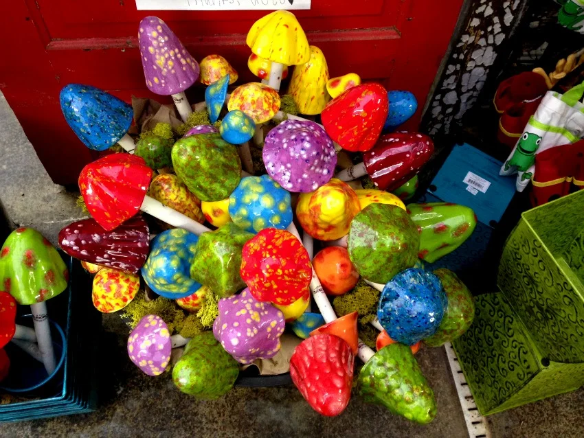 Colorful mushrooms for pots cover photo