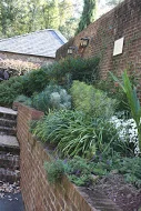IMG_6466.jpg