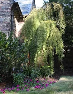 IMG_6475.jpg