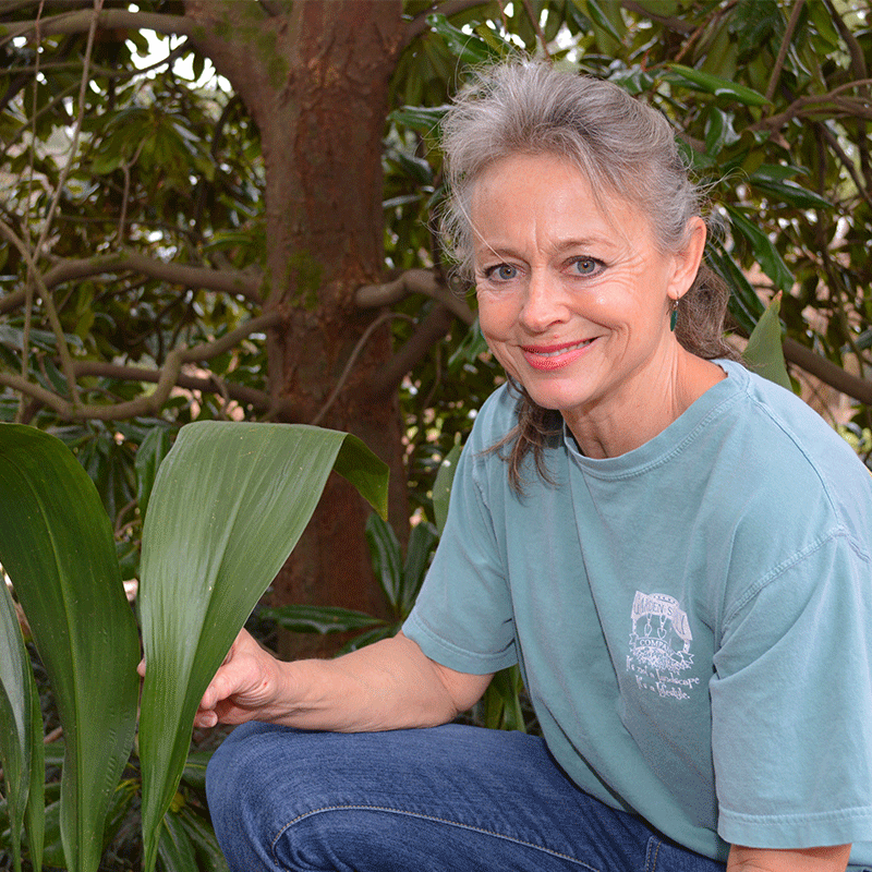 Anna Yarborough