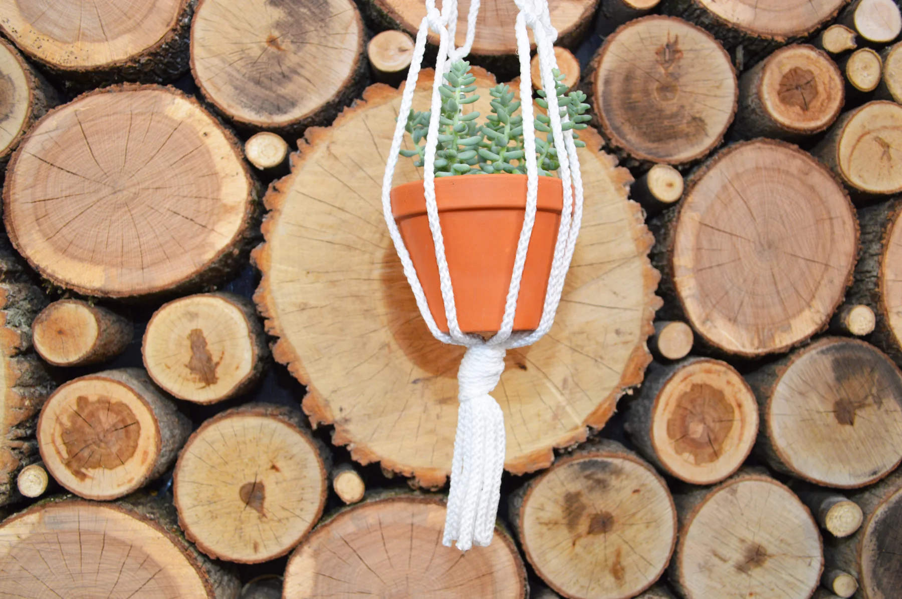 Mother, macrame I?