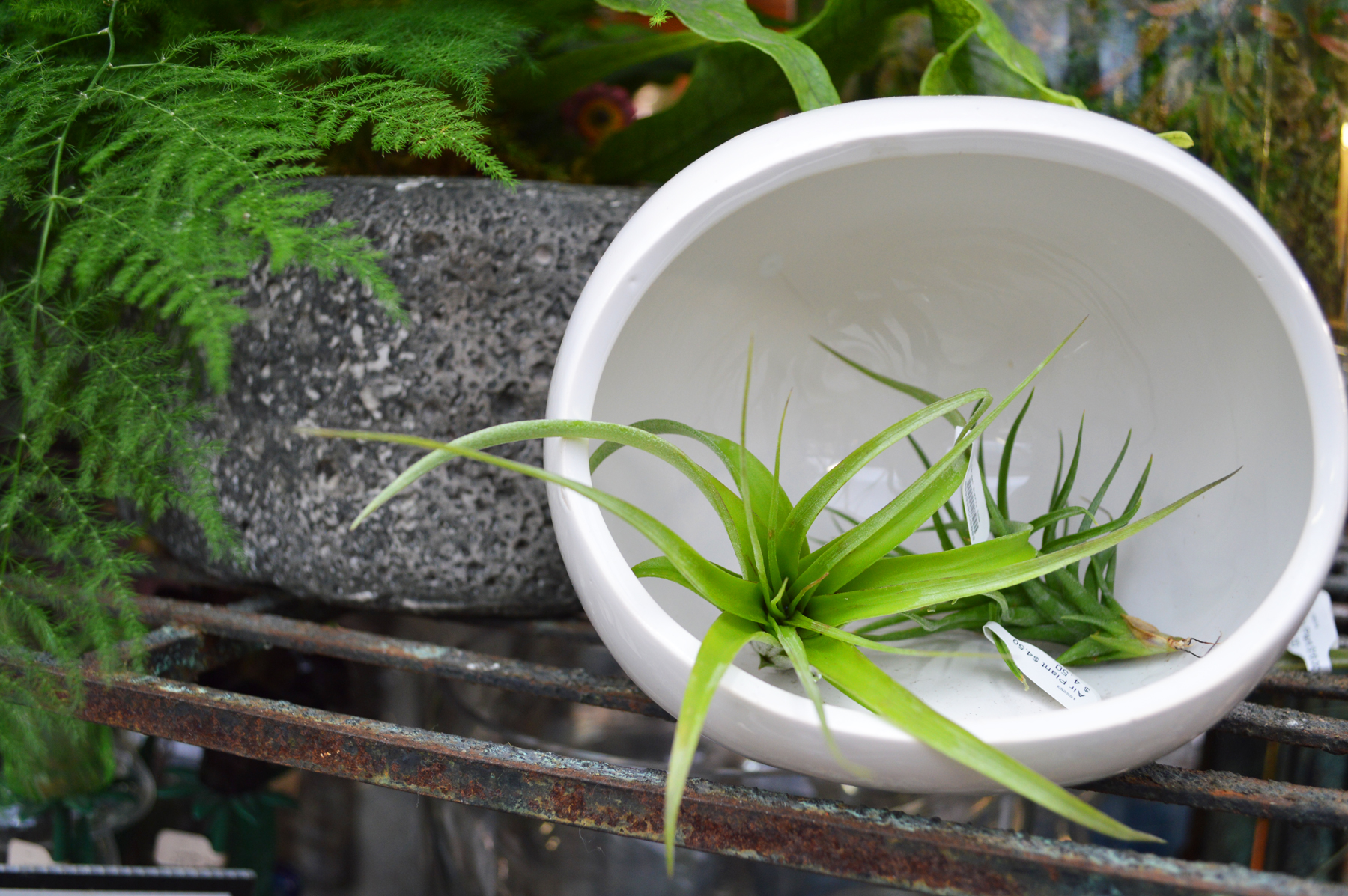 Eclectic Containers