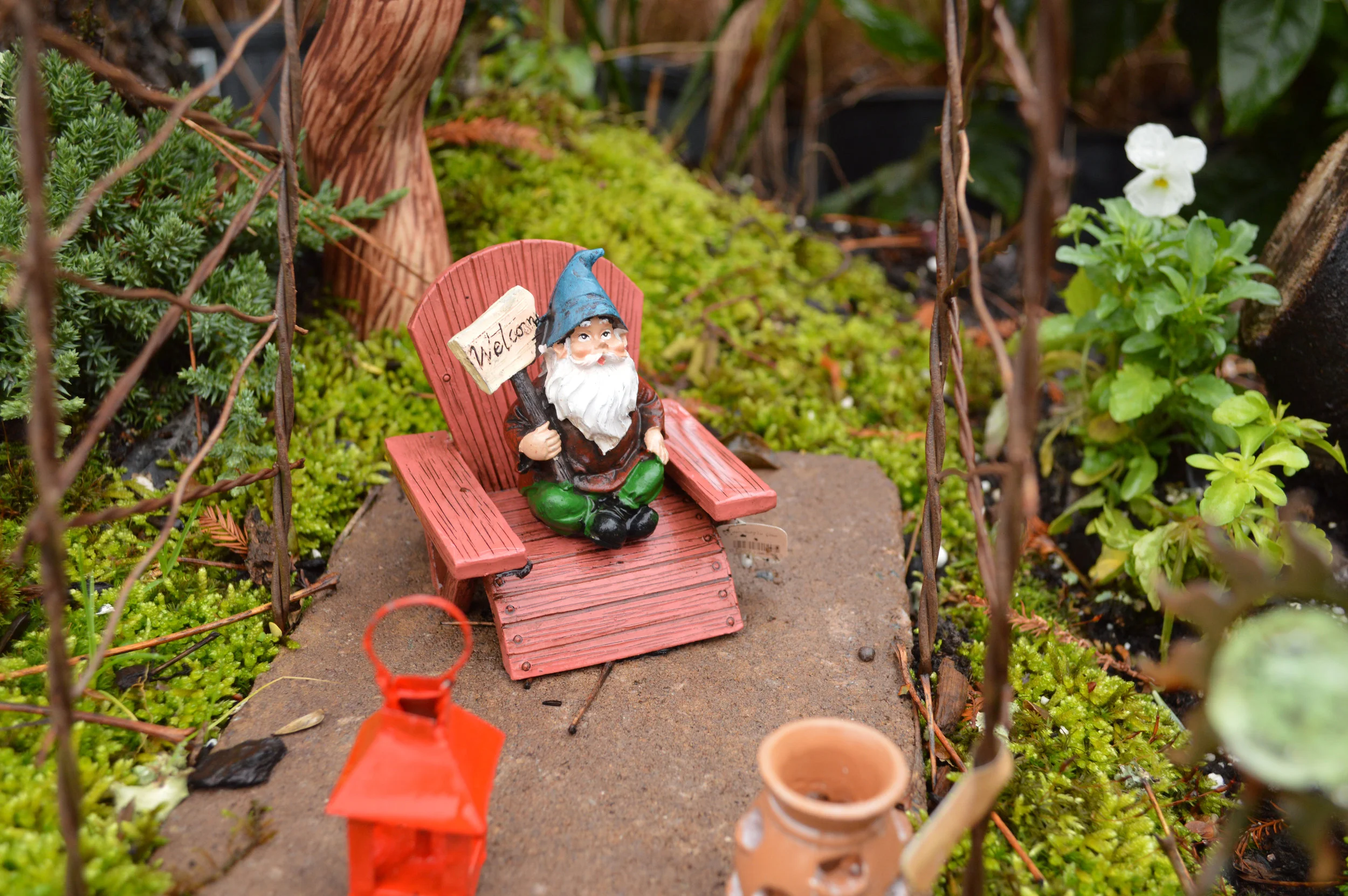 Pre-made Fairy Gardens