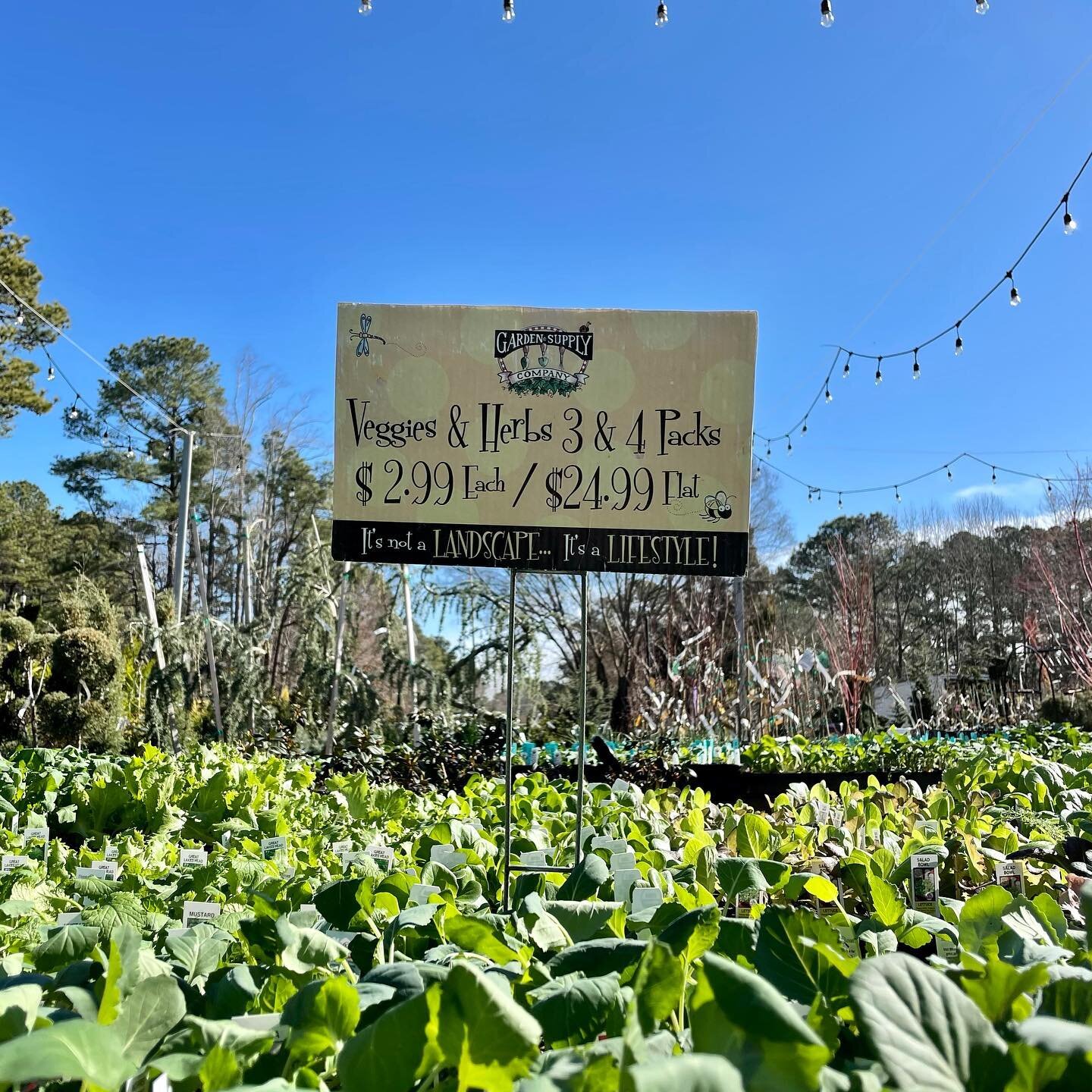 Spring veggies &amp; herbs 🌿 Grab yours today and get a head start on spring gardening! Do you receive our monthly newsletter and digital coupons? Visit our website and sign up using the pop-up form! Have questions or need assistance? Email marketin