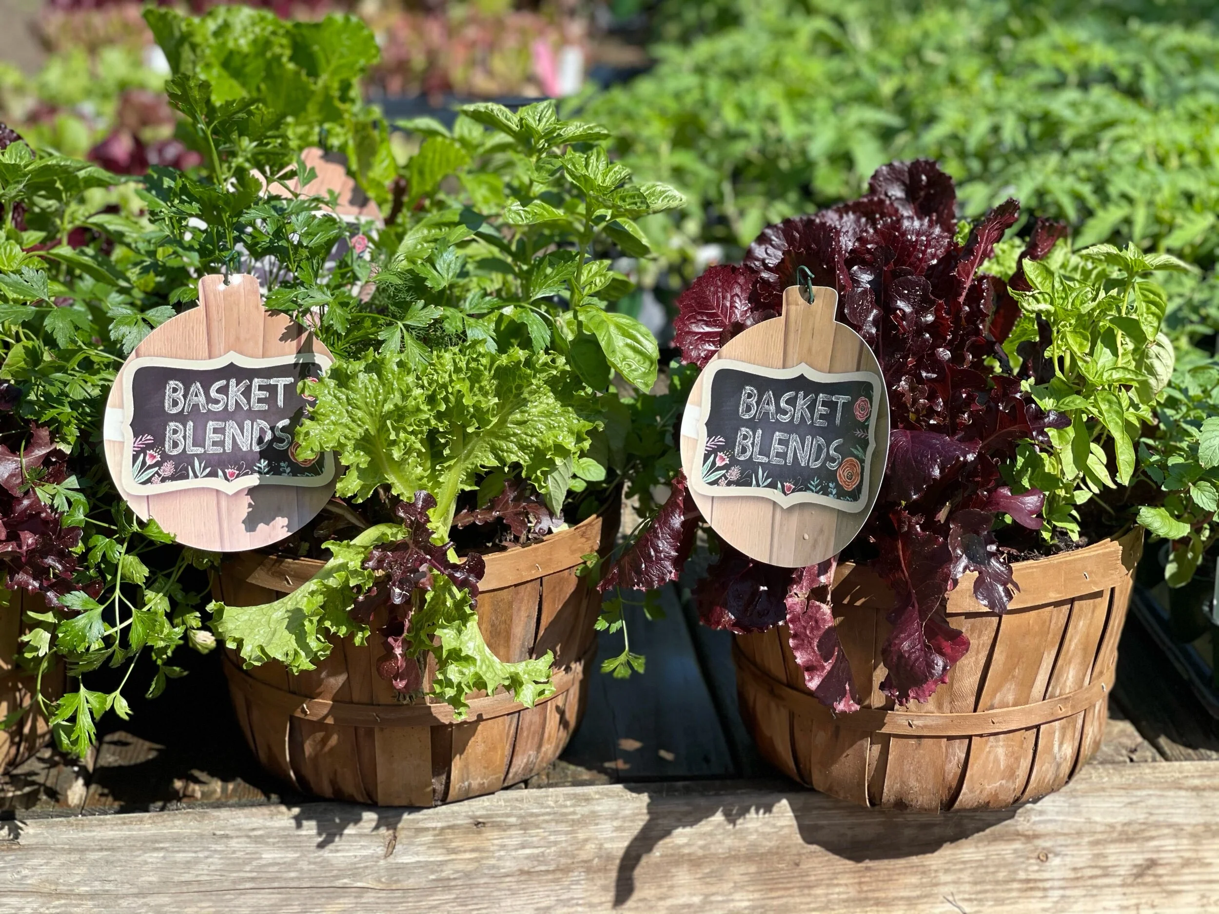 Garden — Garden Supply Co.