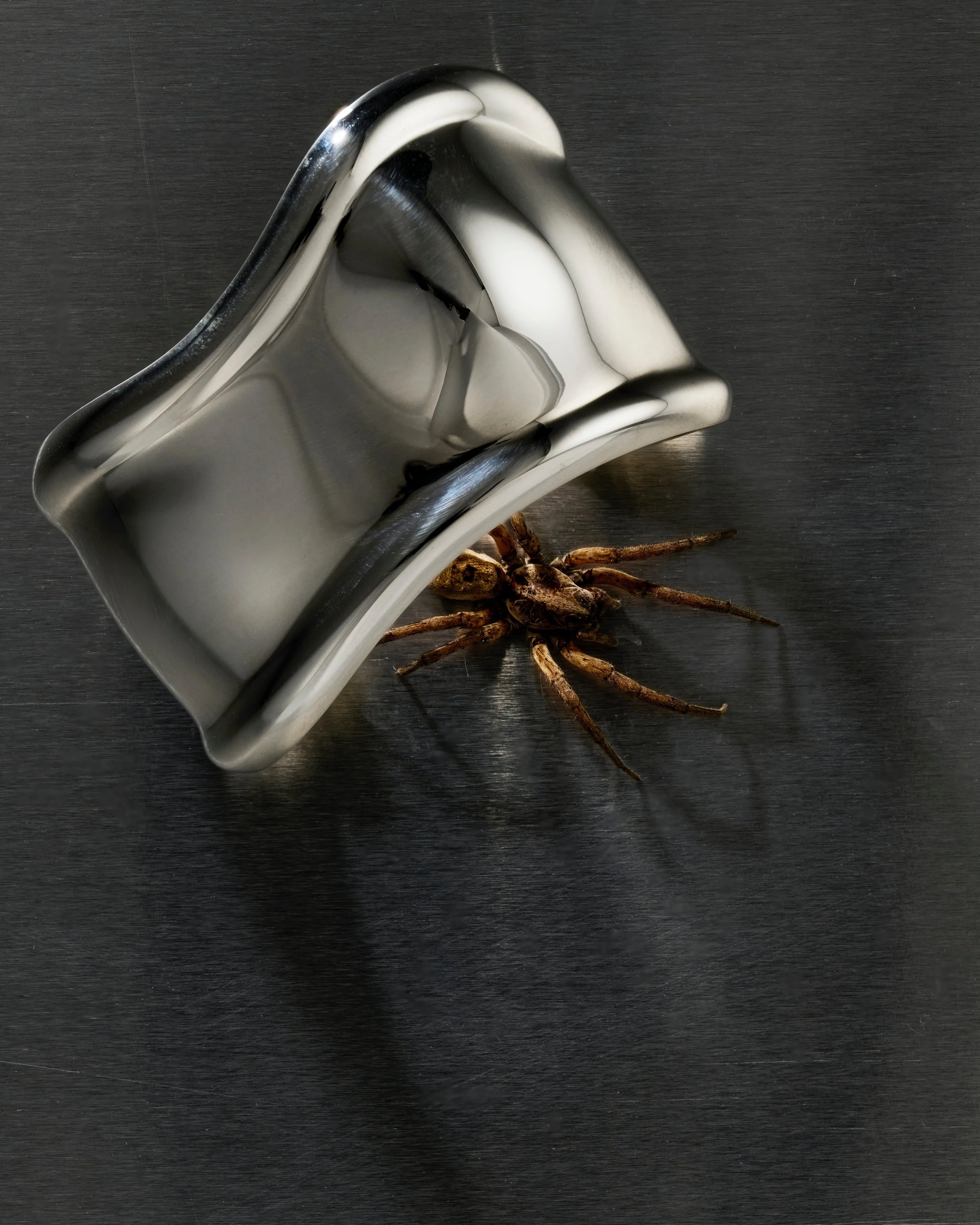 bone cuff stack.jpeg