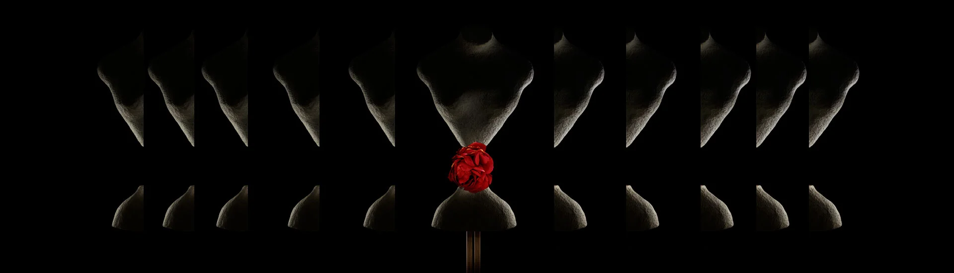 Crillon-Banner-ROSE.jpg