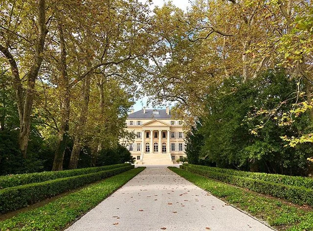 Where am I? Hints in the tags! 🇫🇷 #wine #winery #winemaking #redwine #somewhereinfrance #wines #redblend #instagood #frenchwine #firstgrowth