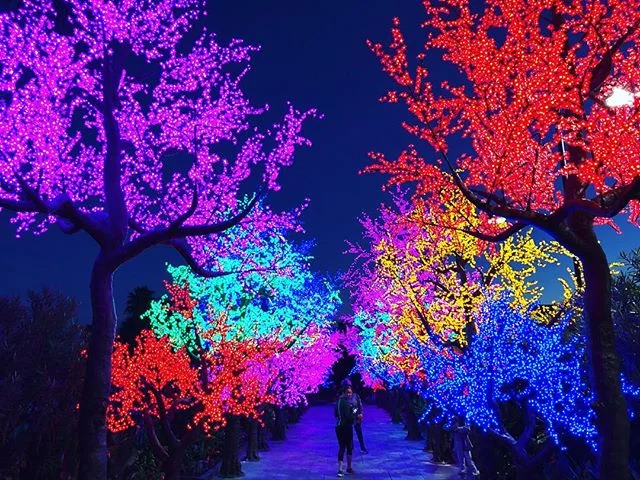 Tennis then #wine! #houston #texas #texaswine #texaswinery #clubwestside #westsidetennisclub #winemaking #redwine #tennis #tenniscourt #wines