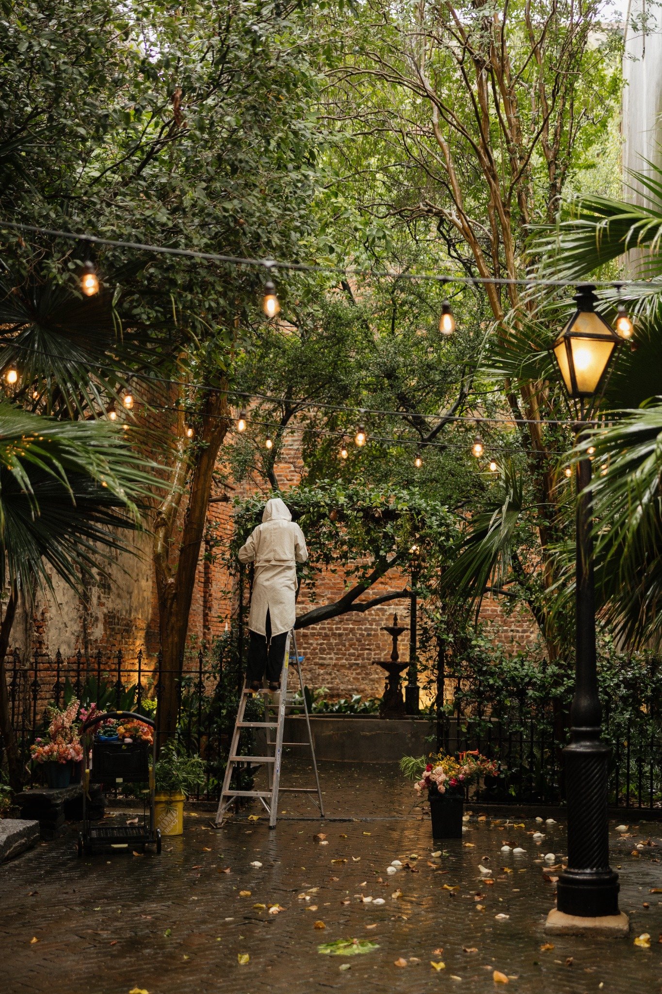 Rainy New Orleans Pharmacy Museum courtyard before the elopement