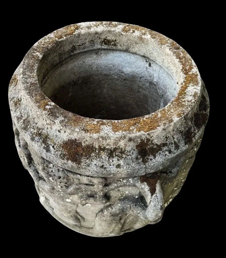 p5.jpg