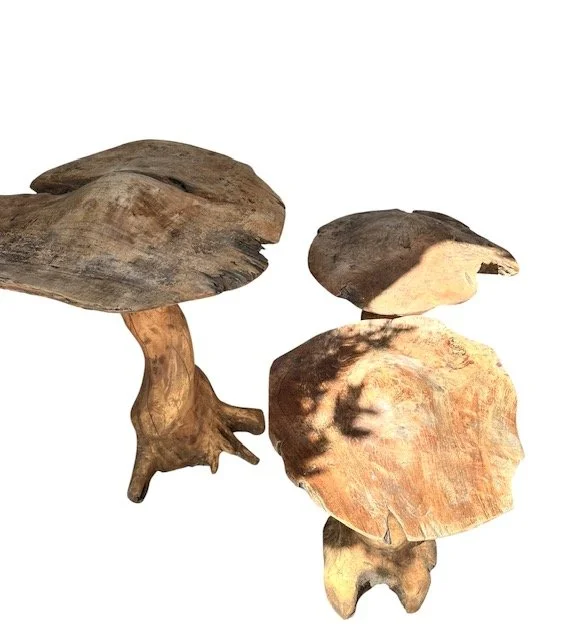 s3.jpg