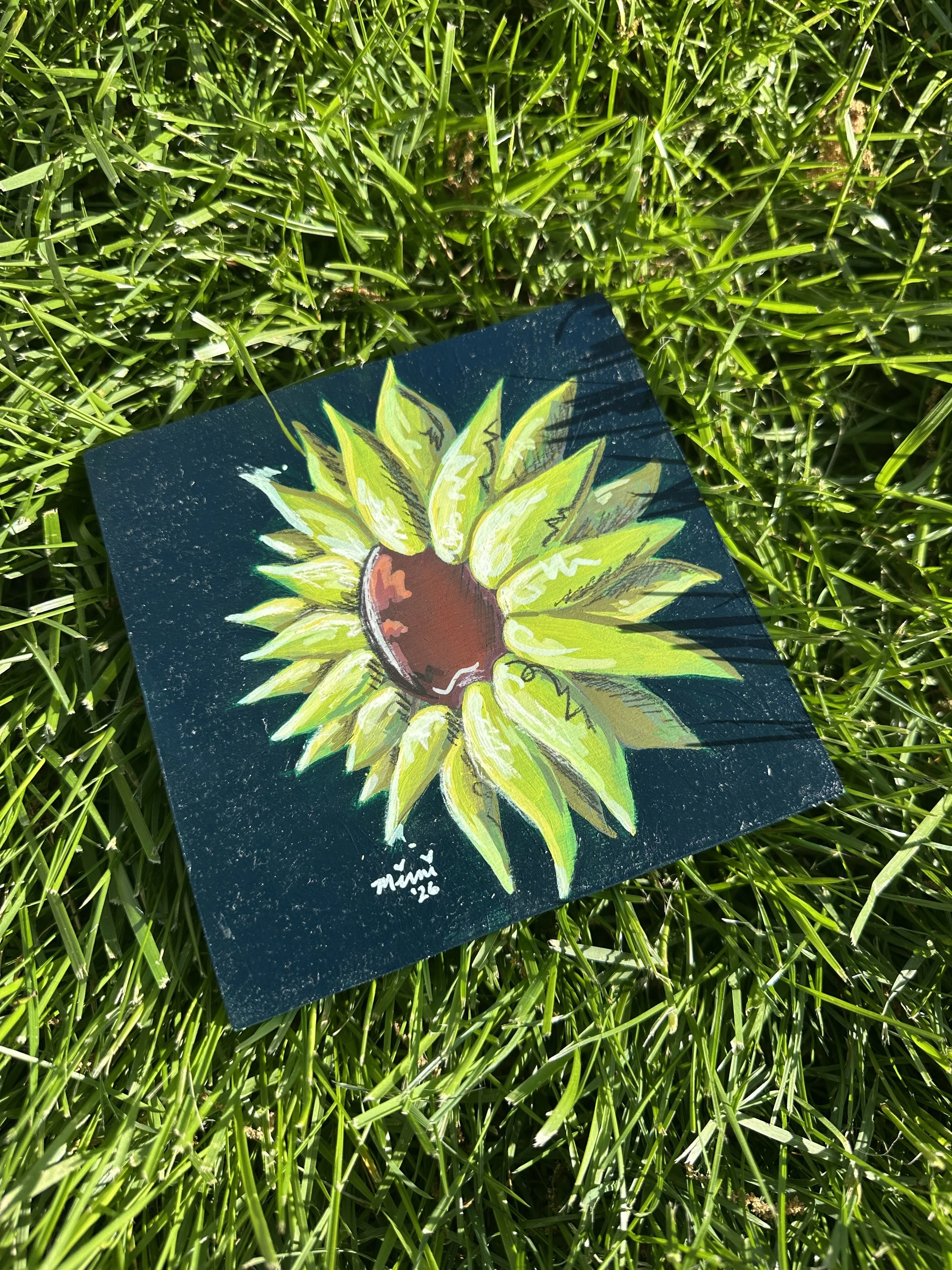 Avocado Sunflower