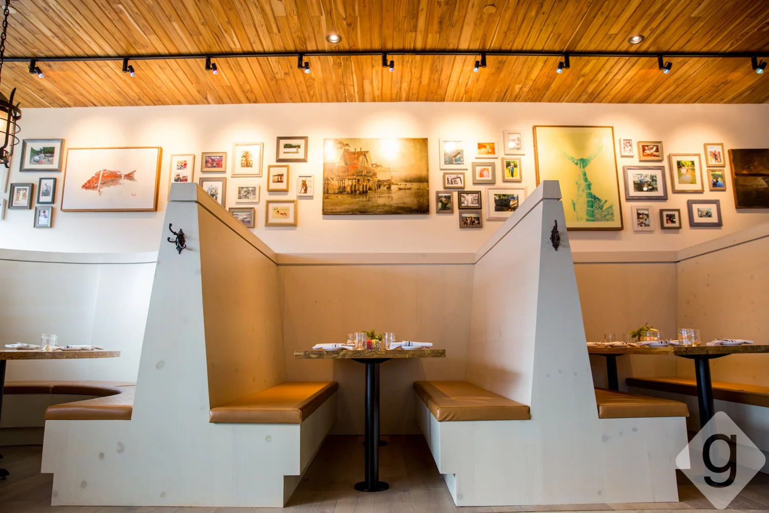 Fin and Pearl 005.jpg