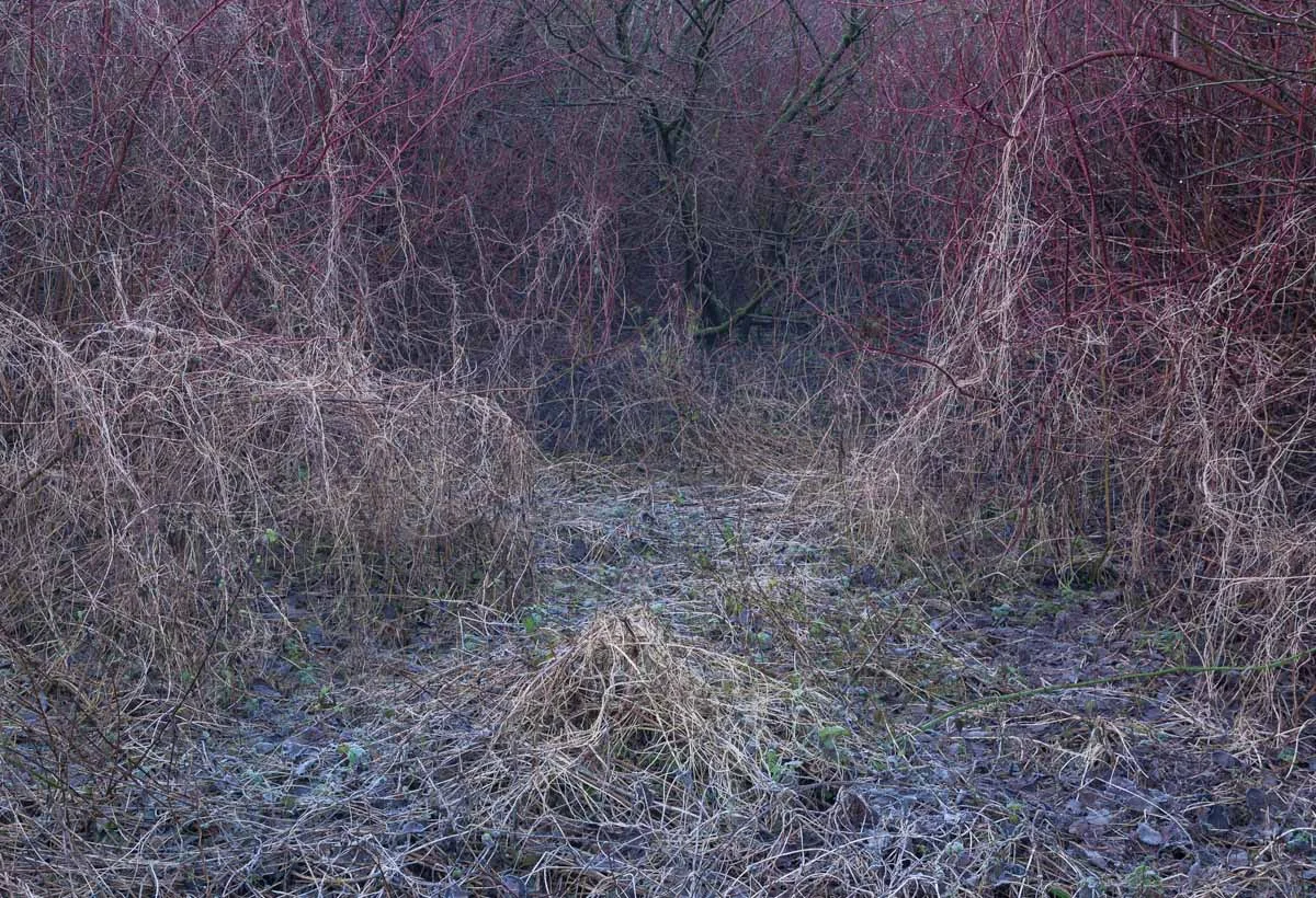 29_subsidence.jpg