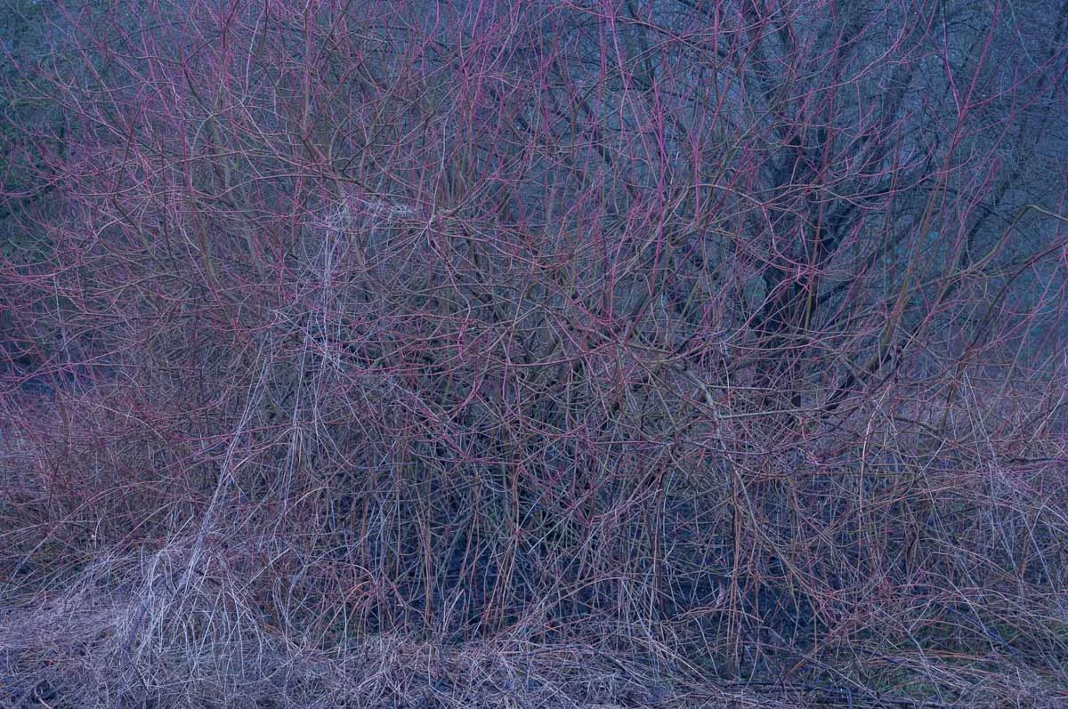 30_subsidence.jpg