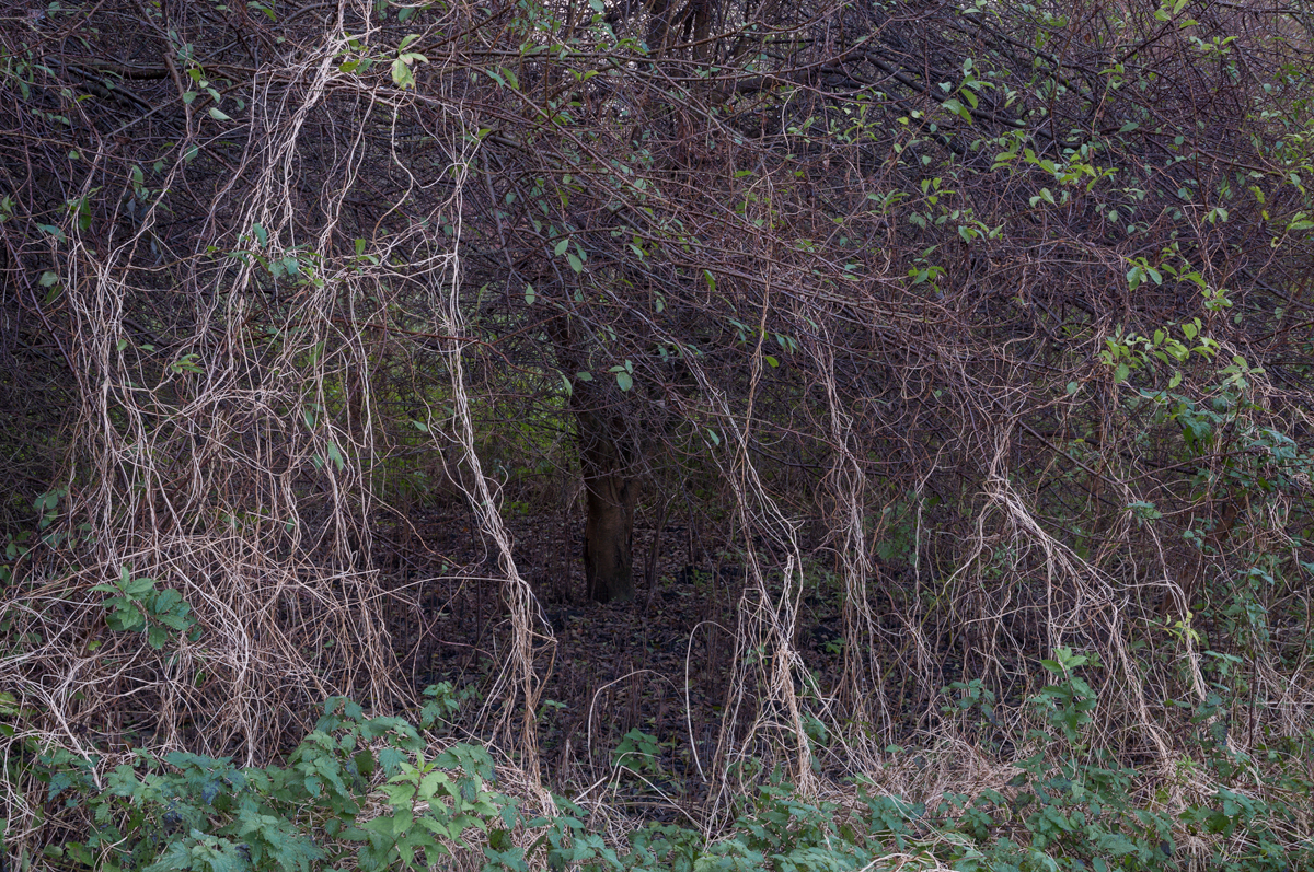 10_subsidence.jpg