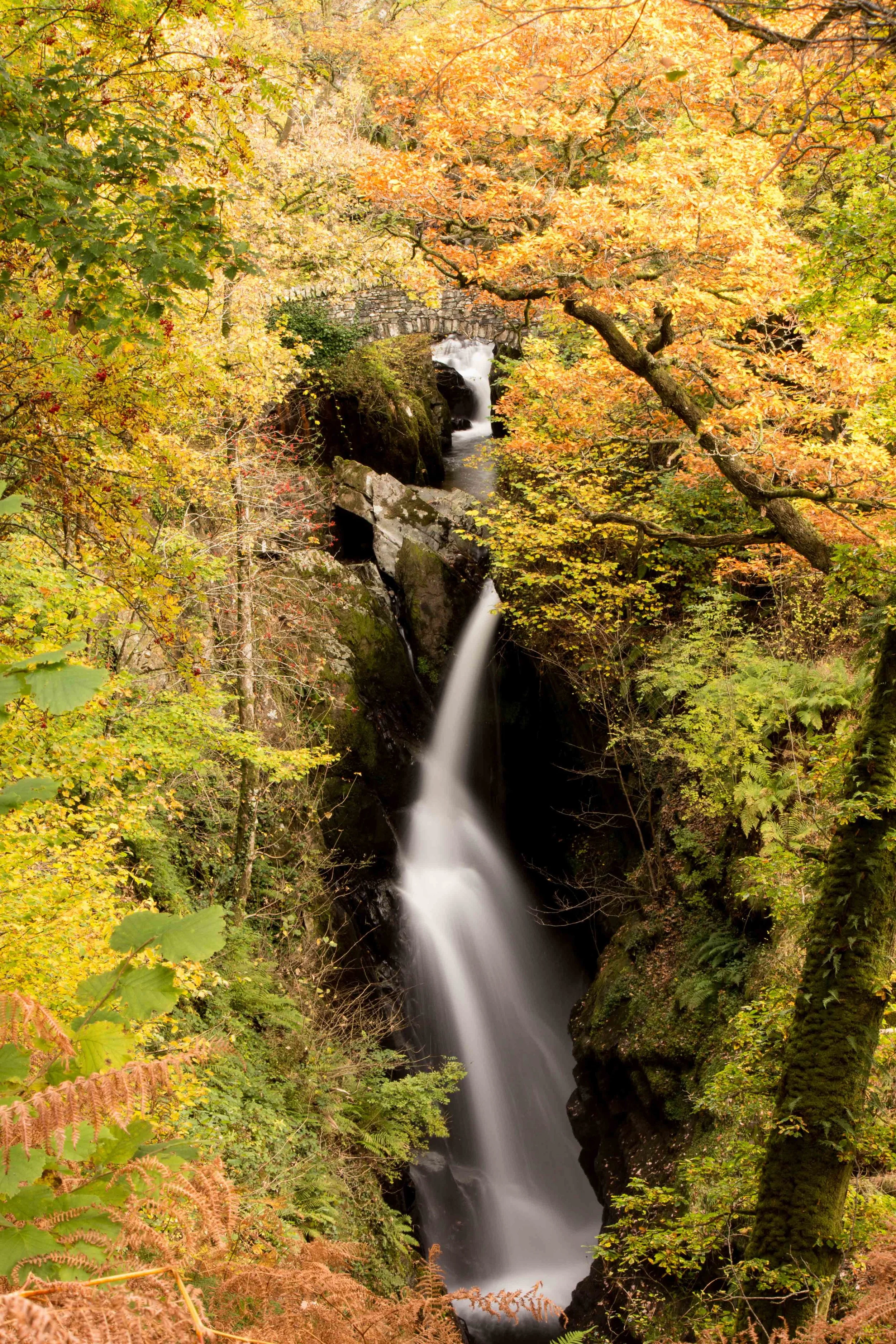 Aira Force | Ullswater | Lake District
