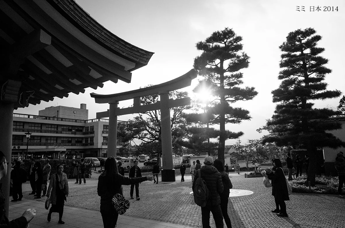 MDG_5391.jpg