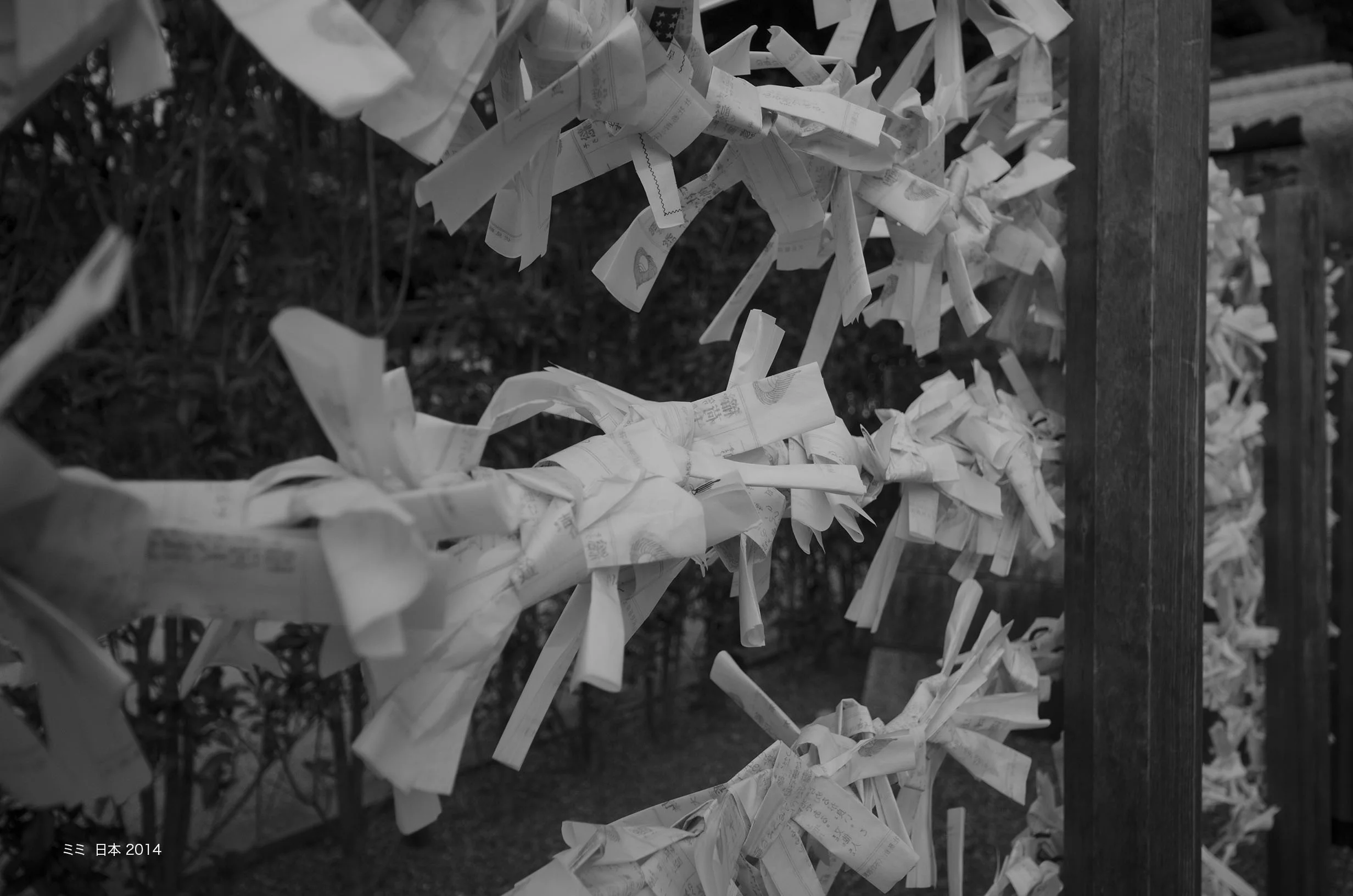 MDG_5400 copy.jpg