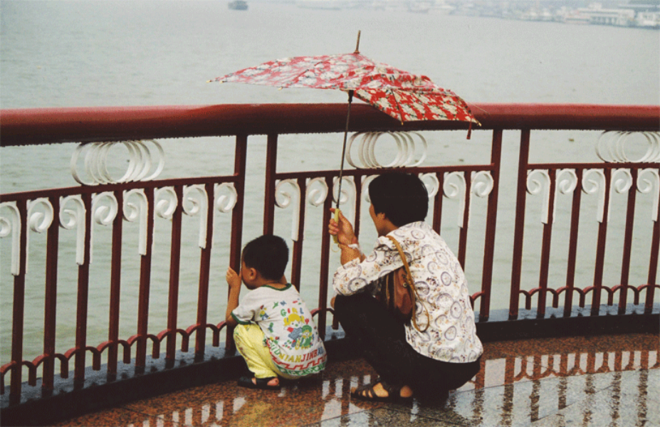 shanghai rainy day.gif